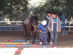 equinoterapia2